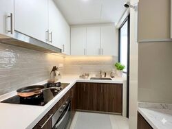 Riversound Residence (D19), Condominium #561745091
